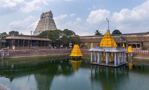 Temples Spice Tour
