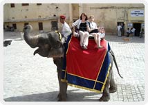 Elephant Ride in Jaipur