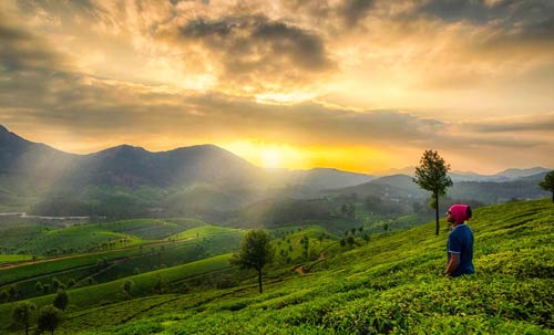 Exotic Kerala Tour