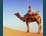 Rajasthan Tour Packages