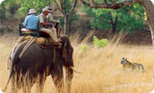 Ranthambhor National Park